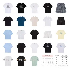 Dior new collection casual loose short-sleeved T-shirt with embroidered letter print-5318  